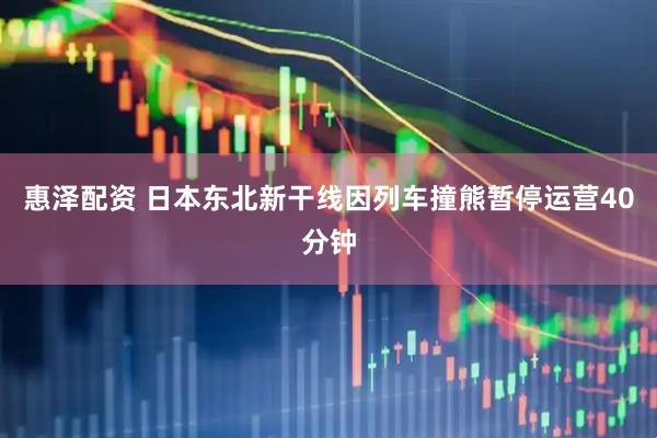 惠泽配资 日本东北新干线因列车撞熊暂停运营40分钟