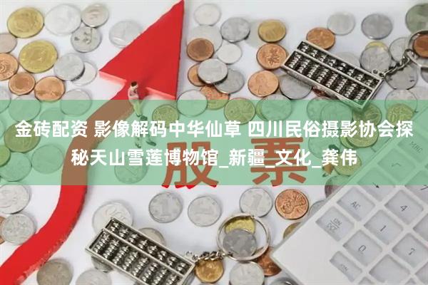 金砖配资 影像解码中华仙草 四川民俗摄影协会探秘天山雪莲博物馆_新疆_文化_龚伟