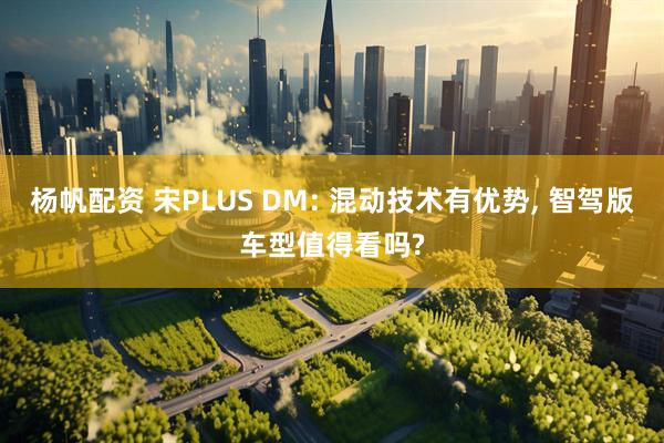 杨帆配资 宋PLUS DM: 混动技术有优势, 智驾版车型值得看吗?